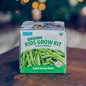 Back to the Roots Kids' Science Grow Kit - Bean