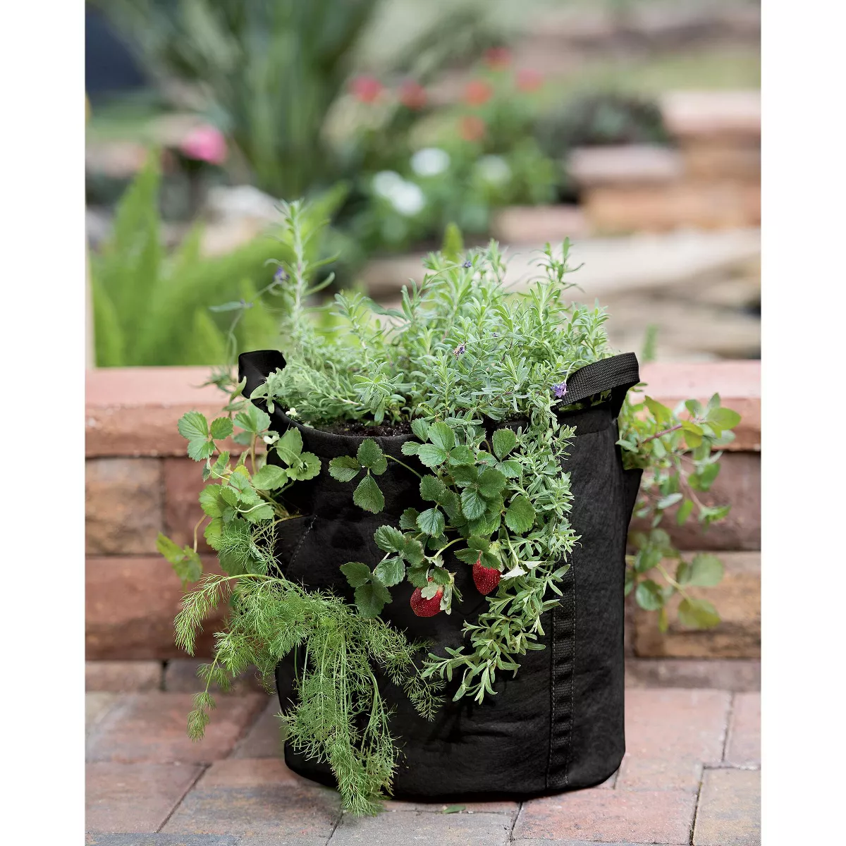 Gardener’s Best® Strawberry and Herb Grow Bag - Gardener's Supply Company