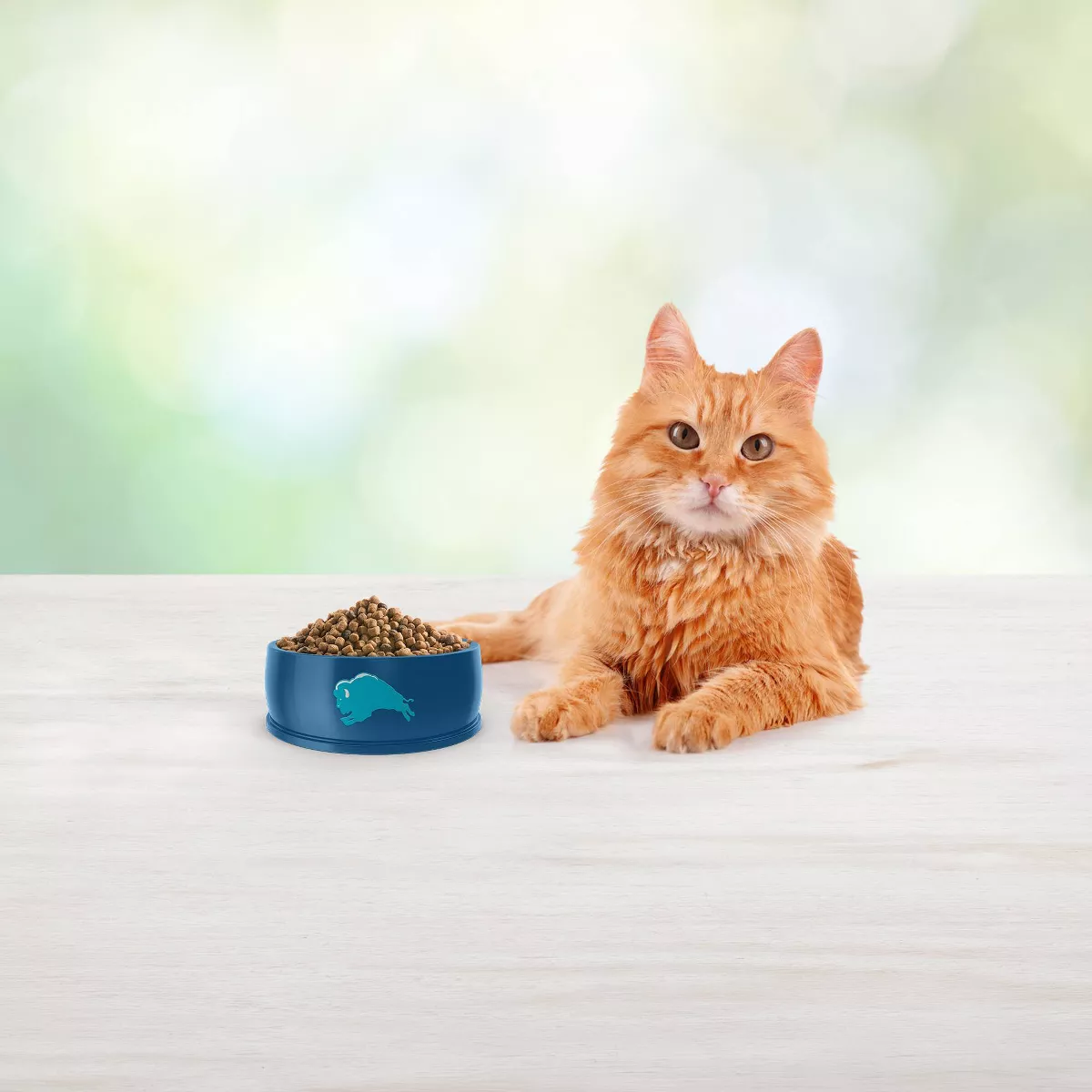 Blue Buffalo Freedom Grain Free Indoor with Chicken, Peas & Potatoes Mature Premium Senior Dry Cat Food - 11lbs