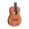 Cordoba Mini II MH Acoustic Guitar Natural