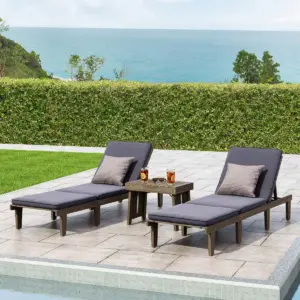 Ariana 3pc Acacia Wood Chaise Lounge Set - Gray/Dark Gray - Christopher Knight Home