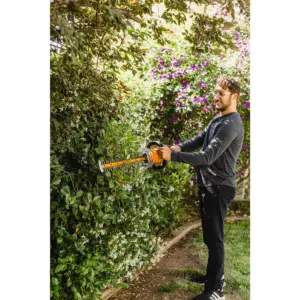 Worx WG284 24