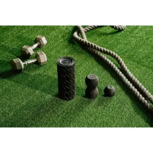 Theragun Wave Roller