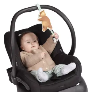 Manhattan Toy Bumble Bear Take Along Jiggle Toy