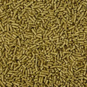 KAYTEE Forti-Diet Timothy Select Guinea Pig Food - 3.5lbs
