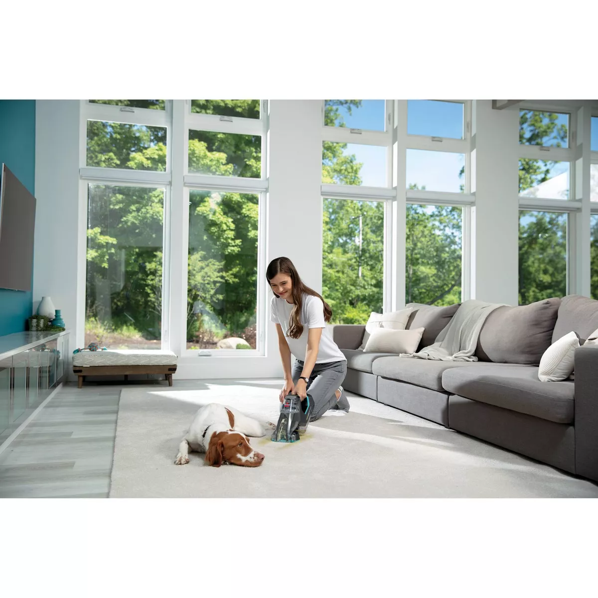 BISSELL Pet Stain Eraser PowerBrush Cleaner - 2846