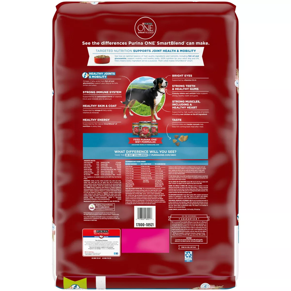 Purina ONE Joint Health Dry Dog Food - 16.5lbs