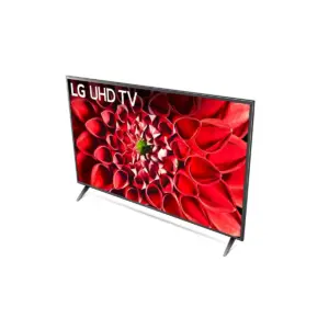 LG 55