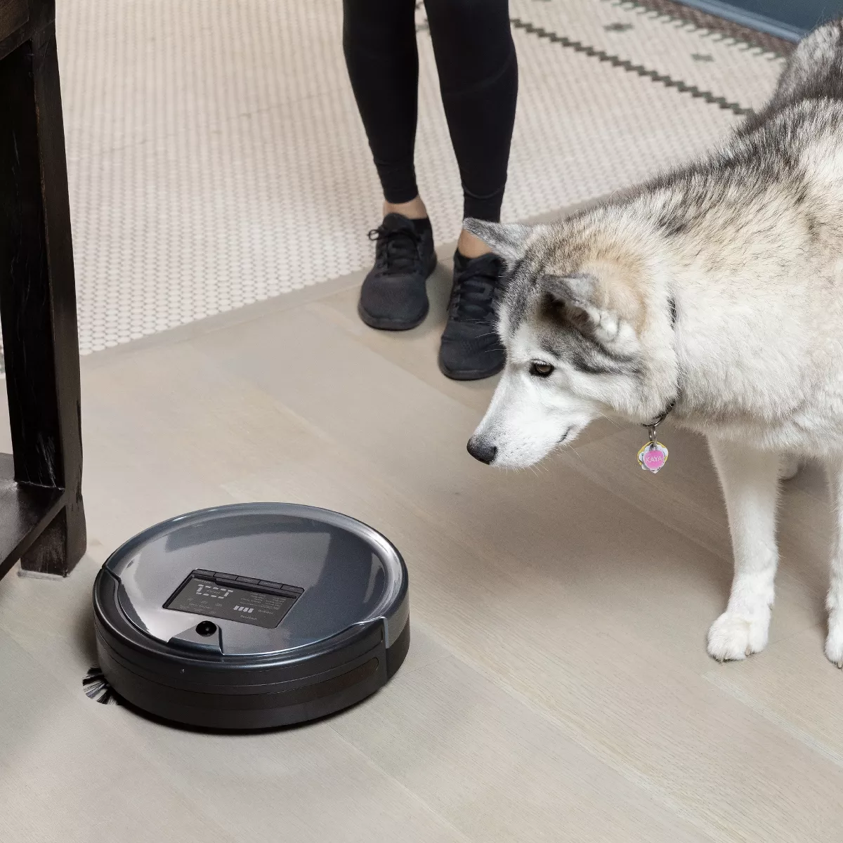 bObsweep PetHair Plus Robot Vacuum Cleaner and Mop - Gray - WPP56002