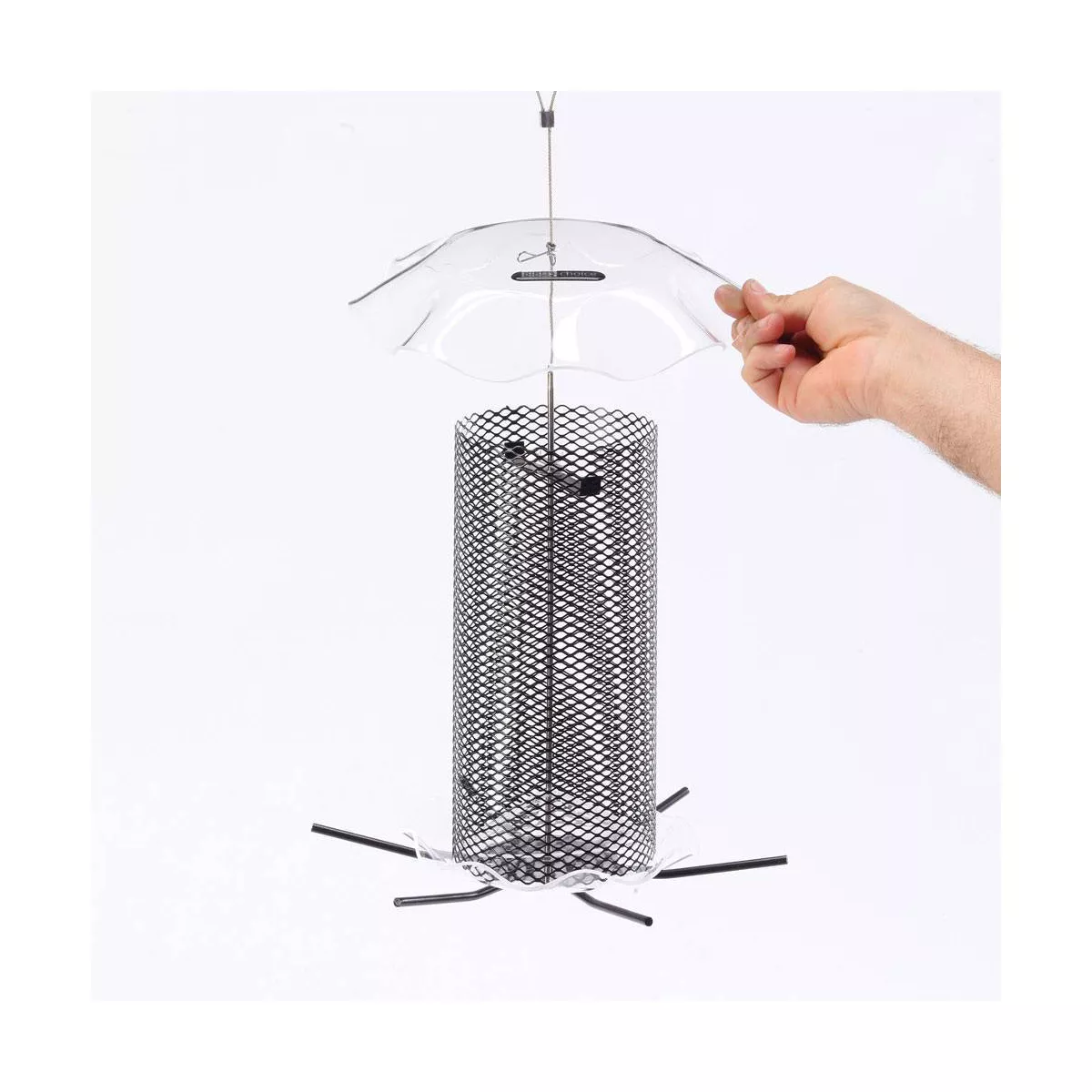 Birds Choice 3qt Safflower Forever Feeder - Clear