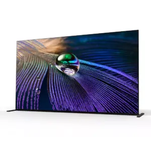 Sony 65