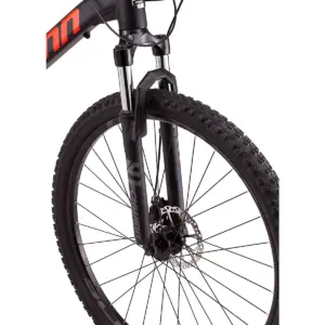 Schwinn Men's Ascension 29
