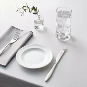 Porcelain Rimmed Appetizer Plate 6.5