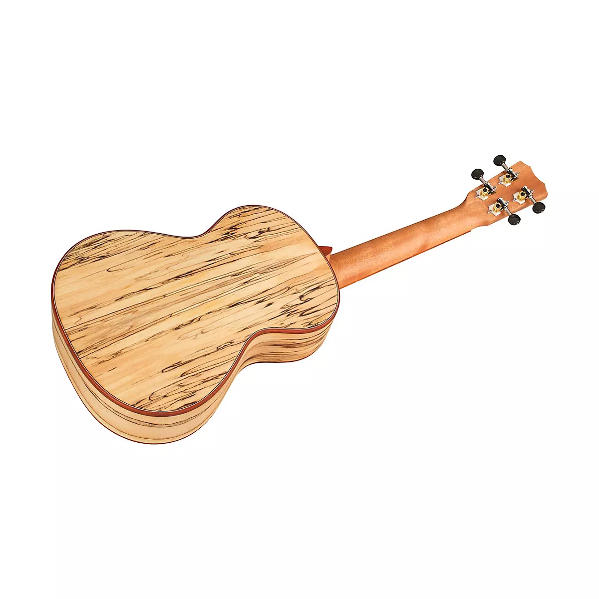 Cordoba 24T Spruce Spalted Maple Tenor Ukulele Natural