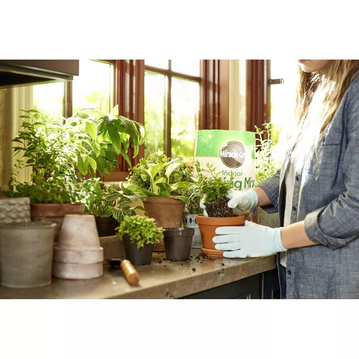 Miracle-Gro Indoor Plant Food and Potting Mix