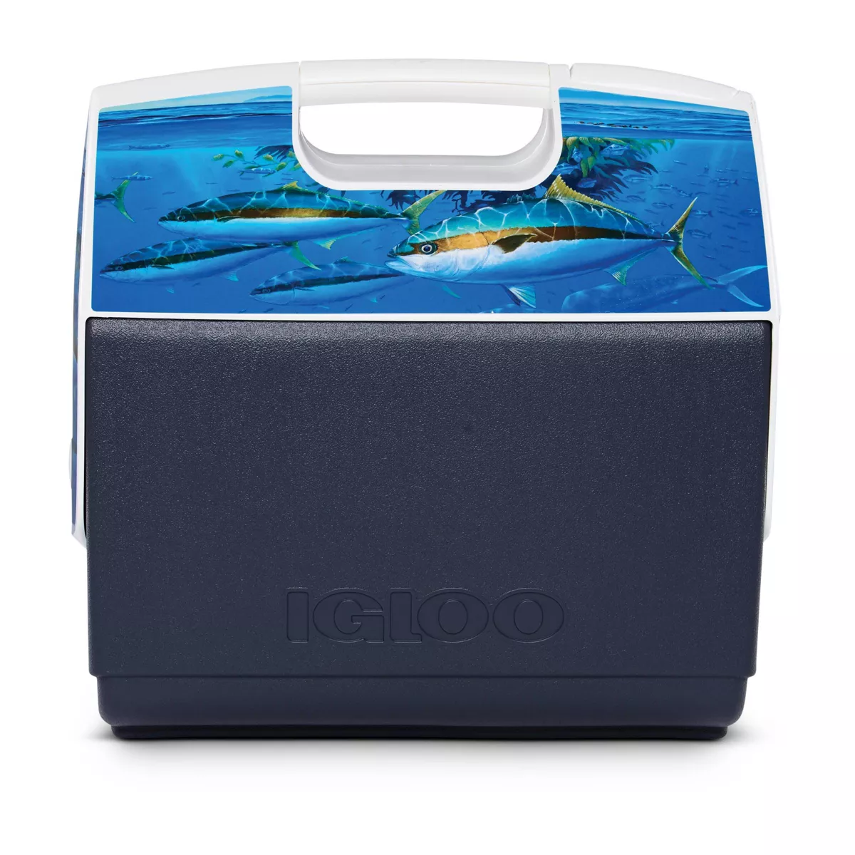 Igloo Playmate Elite Amadeo Paddy Yellowtail 16qt Portable Cooler