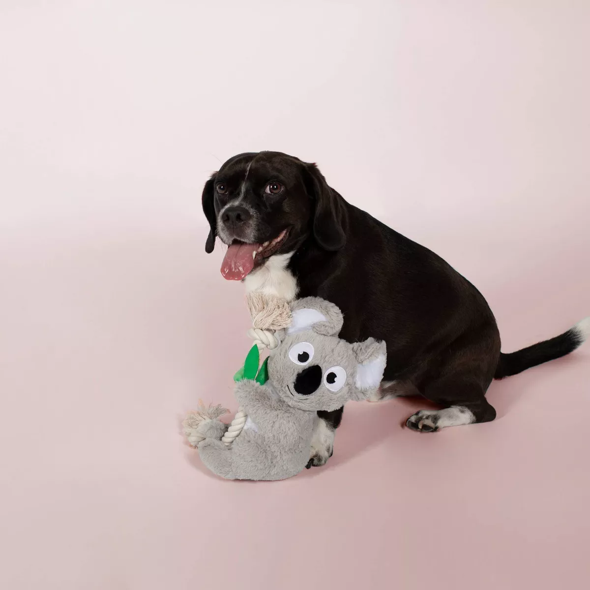 PetShop by Fringe Studio Koala Dog Toy