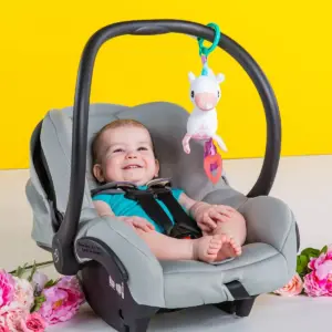 Bright Starts Sparkle & Shine Taggies Unicorn