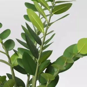 23