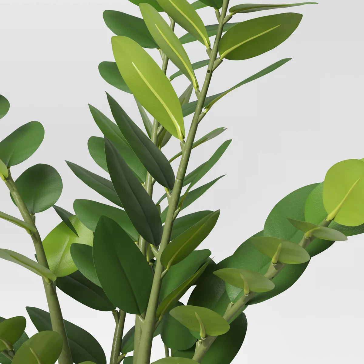 23" x 18" Artificial Zamioculcas Zamiifolia Plant in Pot - Project 62™