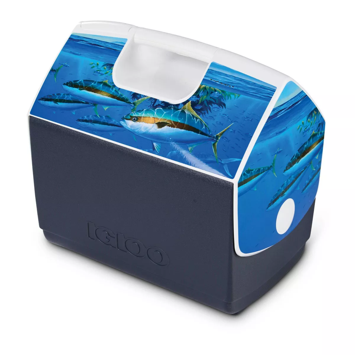 Igloo Playmate Elite Amadeo Paddy Yellowtail 16qt Portable Cooler
