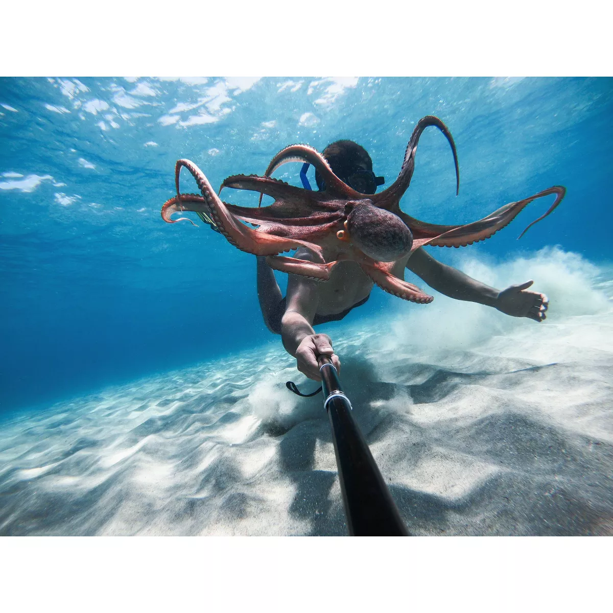 GoPro HERO9 Streaming Action Camera - Black (CHDHX-901)