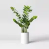 23" x 18" Artificial Zamioculcas Zamiifolia Plant in Pot - Project 62™