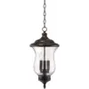 Franklin Iron Works Outdoor Ceiling Light Hanging LED Dimmable Bronze 22" Clear Seedy Glass for Exterior House Porch Patio