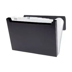 Staples Expanding File with 1