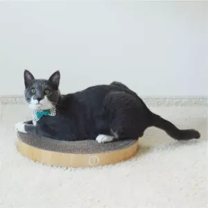 Necoichi Cozy Cat Scratcher Bowl Refills - 2pk
