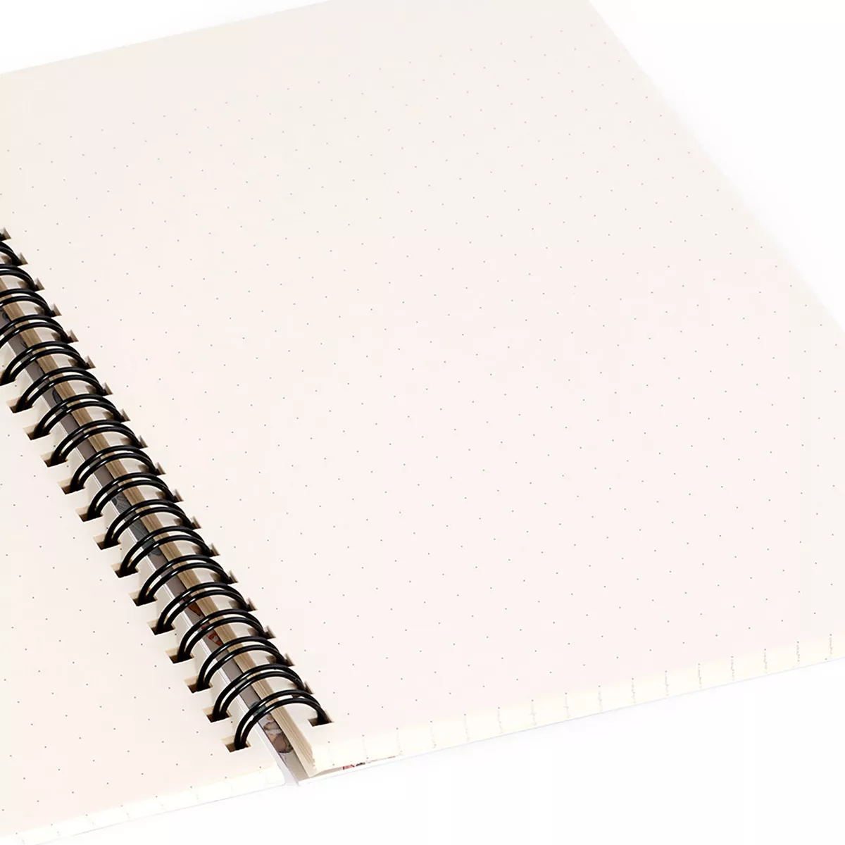Ninola Design Sea Shells Sand Beige Spiral Notebook - Deny Designs