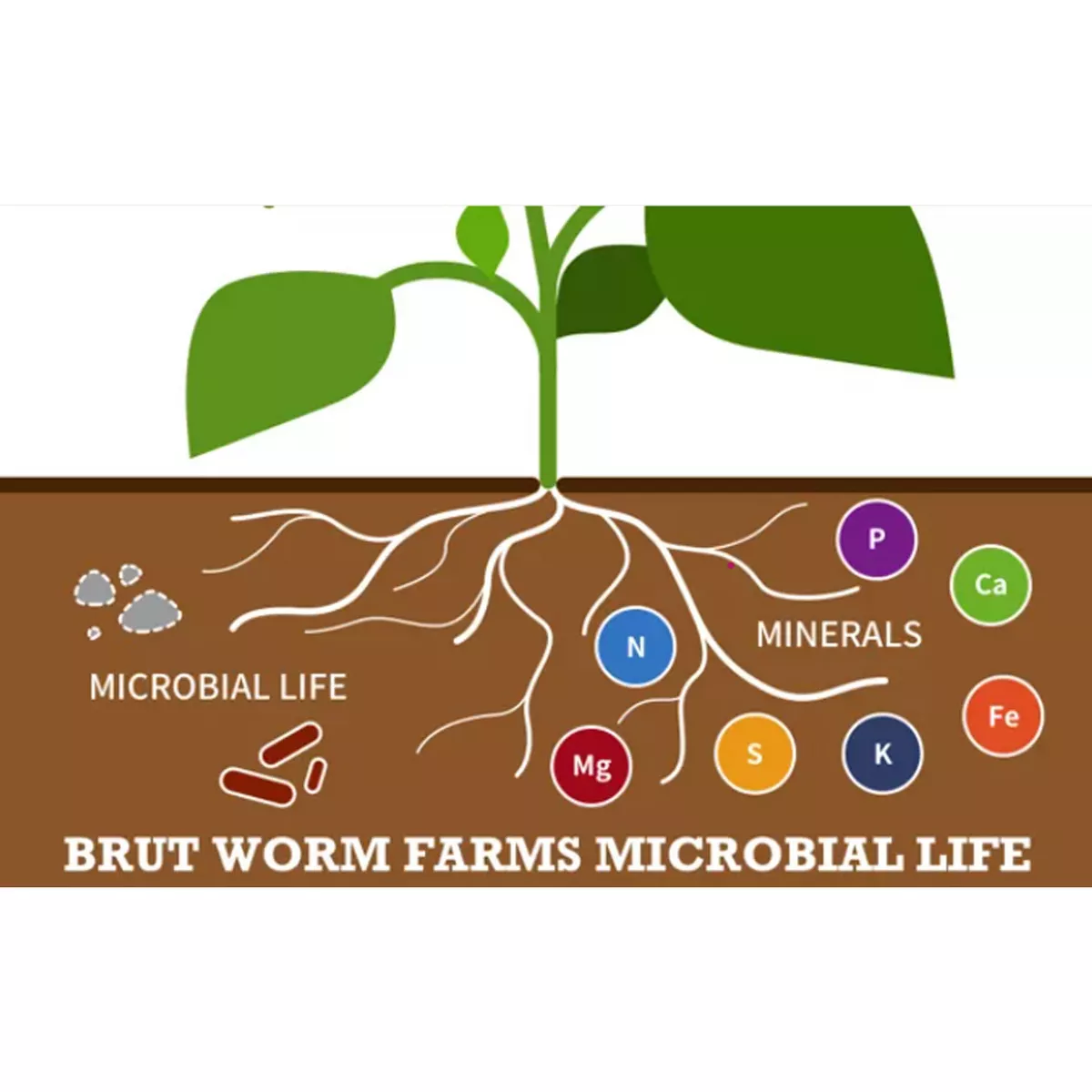 Brut Worm Farms All Natural Organic Worm Castings Fertilizer Soil Builder Potting Mix for Indoor and Outdoor Plants, Lawns, and Gardens, 30 Pound Bag