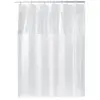 Hitchcock Eva Shower Curtain Clear - iDESIGN