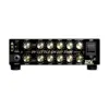 DV Mark DV Little 250 GH Greg Howe Signature 250W Tube Hybrid Guitar Amp Head