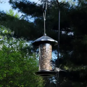 Sunnydaze Decor Wild Bird Seed Feeder with Acorn Style Roof - Gray - 13