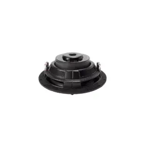 Rockford Fosgate R2SD210 10