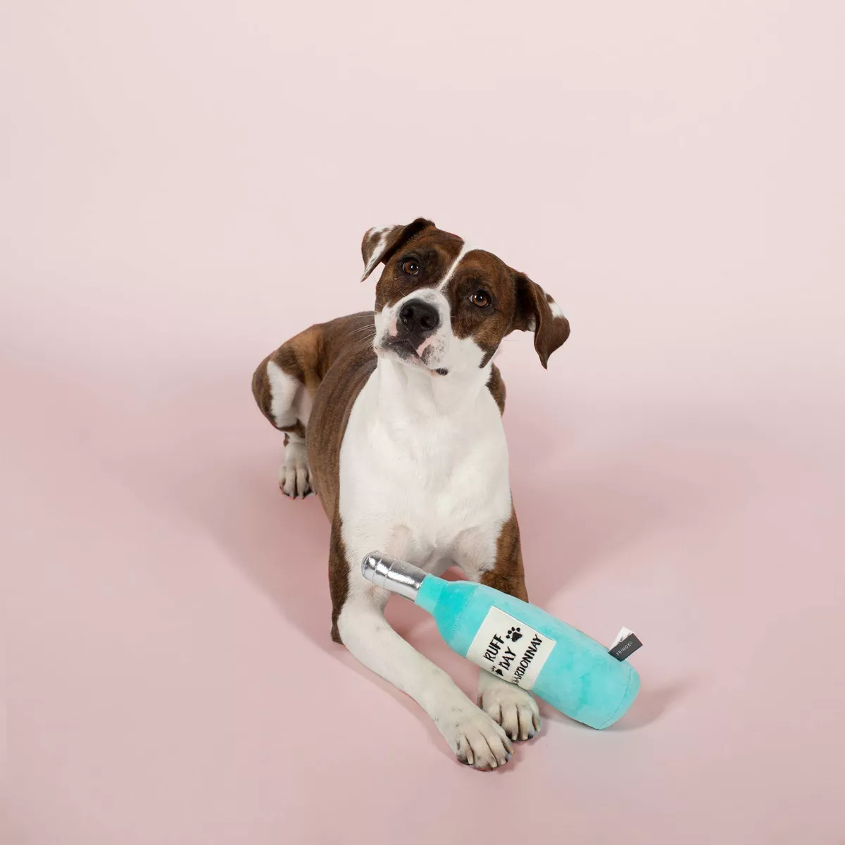 PetShop by Fringe Studio Ruff Day Chardonnay Dog Toy