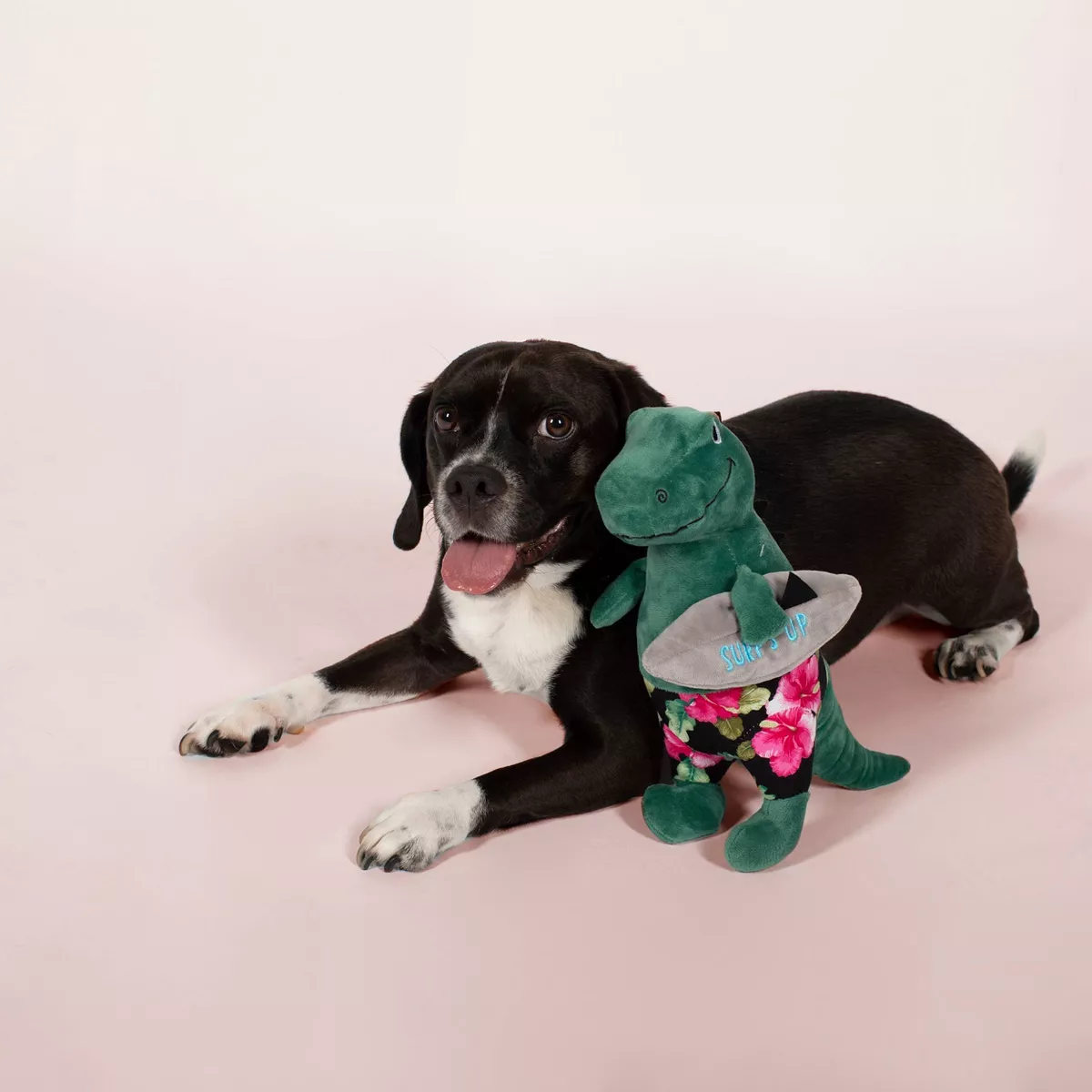 PetShop by Fringe Studio Surfer Bro Rex Dog Toy