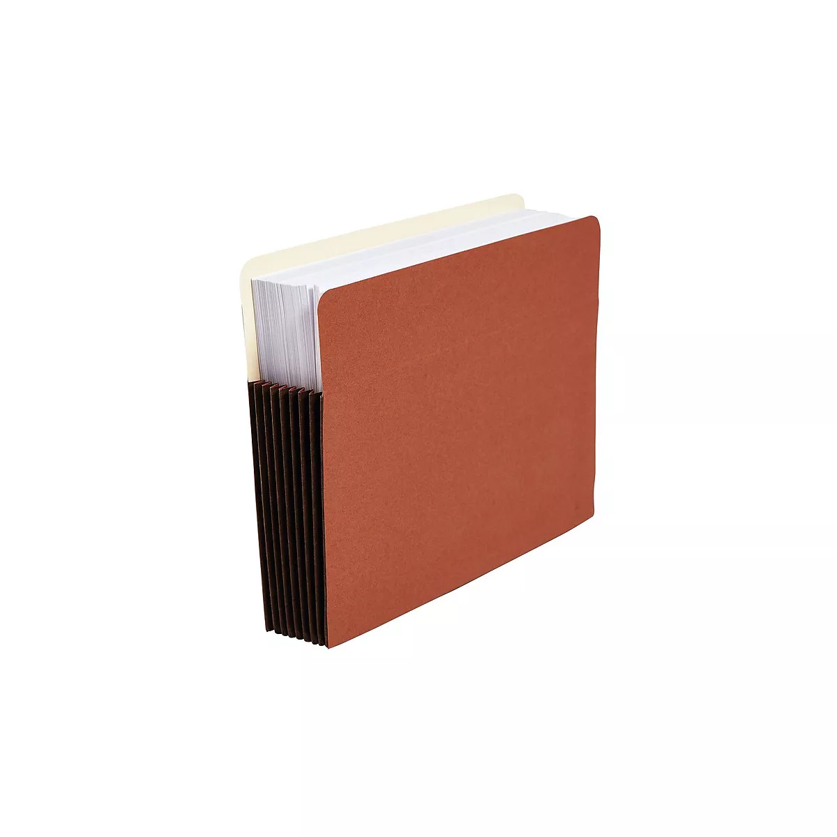 Staples Expand File Pocket w/Tyvek Reinf 7