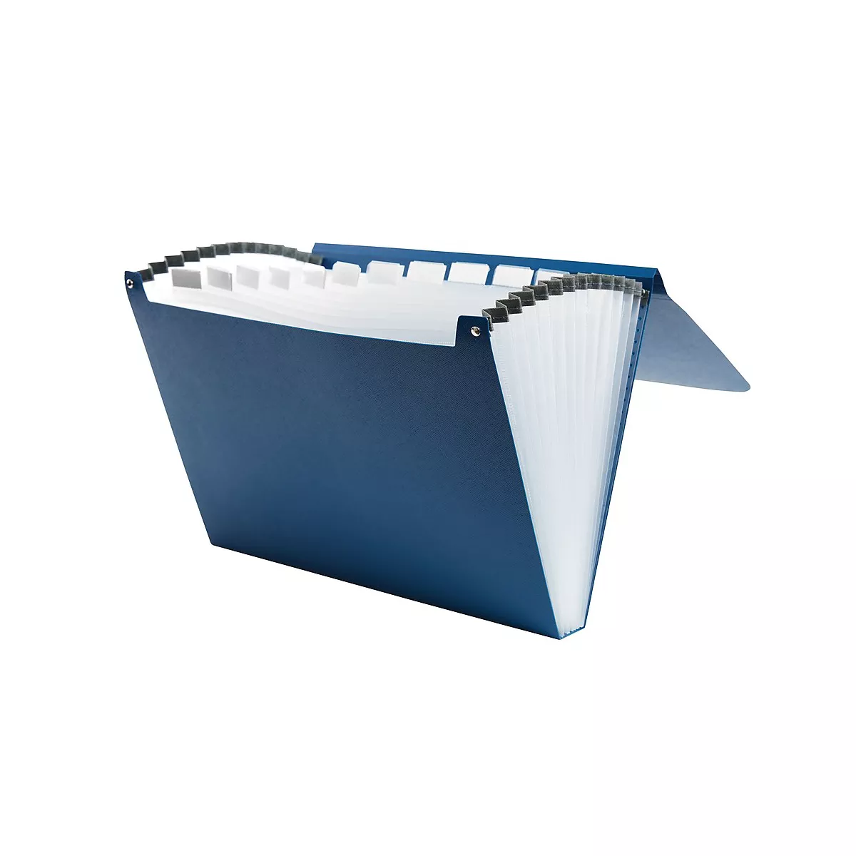 Staples Plastic 13-Pocket Reinforced Expanding Folder Letter Size Blue TR52014/52014