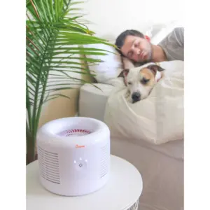 Crane Air Purifier 2.5 PPM