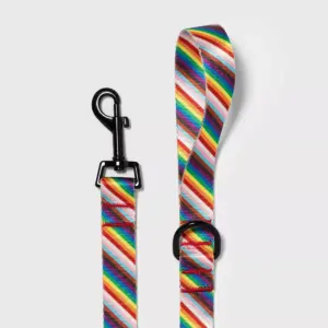 Pride Fashion Dog Leash - 5ft - Boots & Barkley™