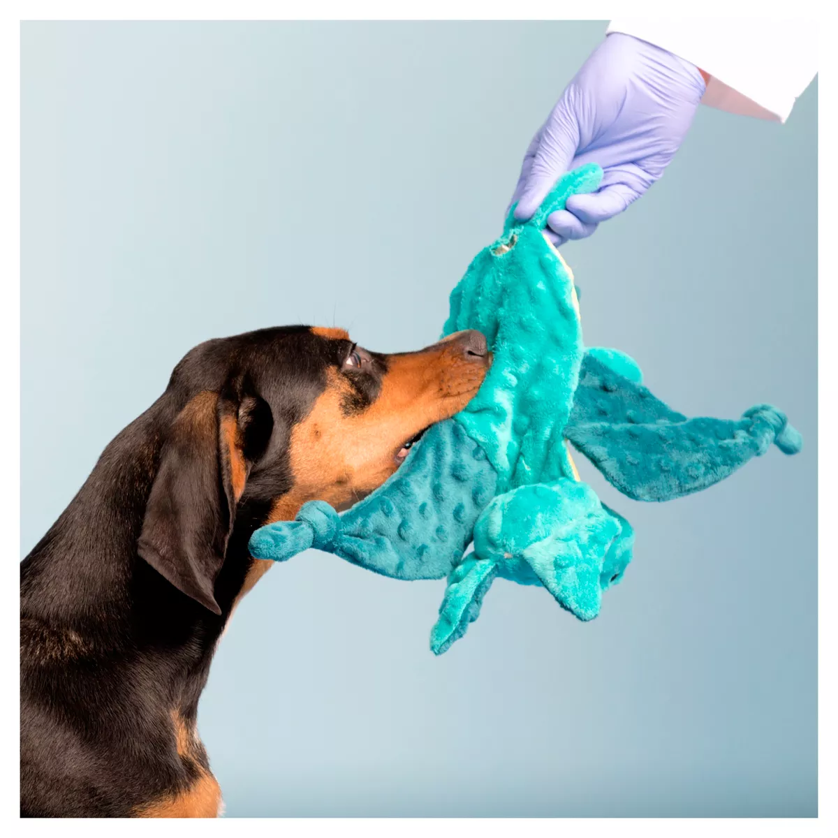 BARK Cute Dog Toy - Dingbert the Dragon