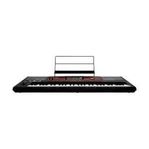 Korg Pa700 Oriental 61-Key Arranger Workstation Black