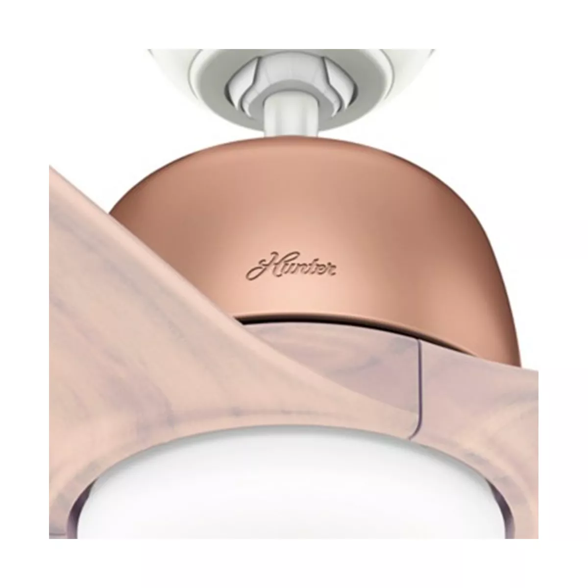 Hunter Fan Company Norden 54-Inch Scandinavian Style Multiple Speeds Ceiling Fan, Satin Bronze