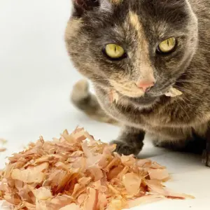 Cat Sushi Classic Cut Cat Treats - 0.7oz