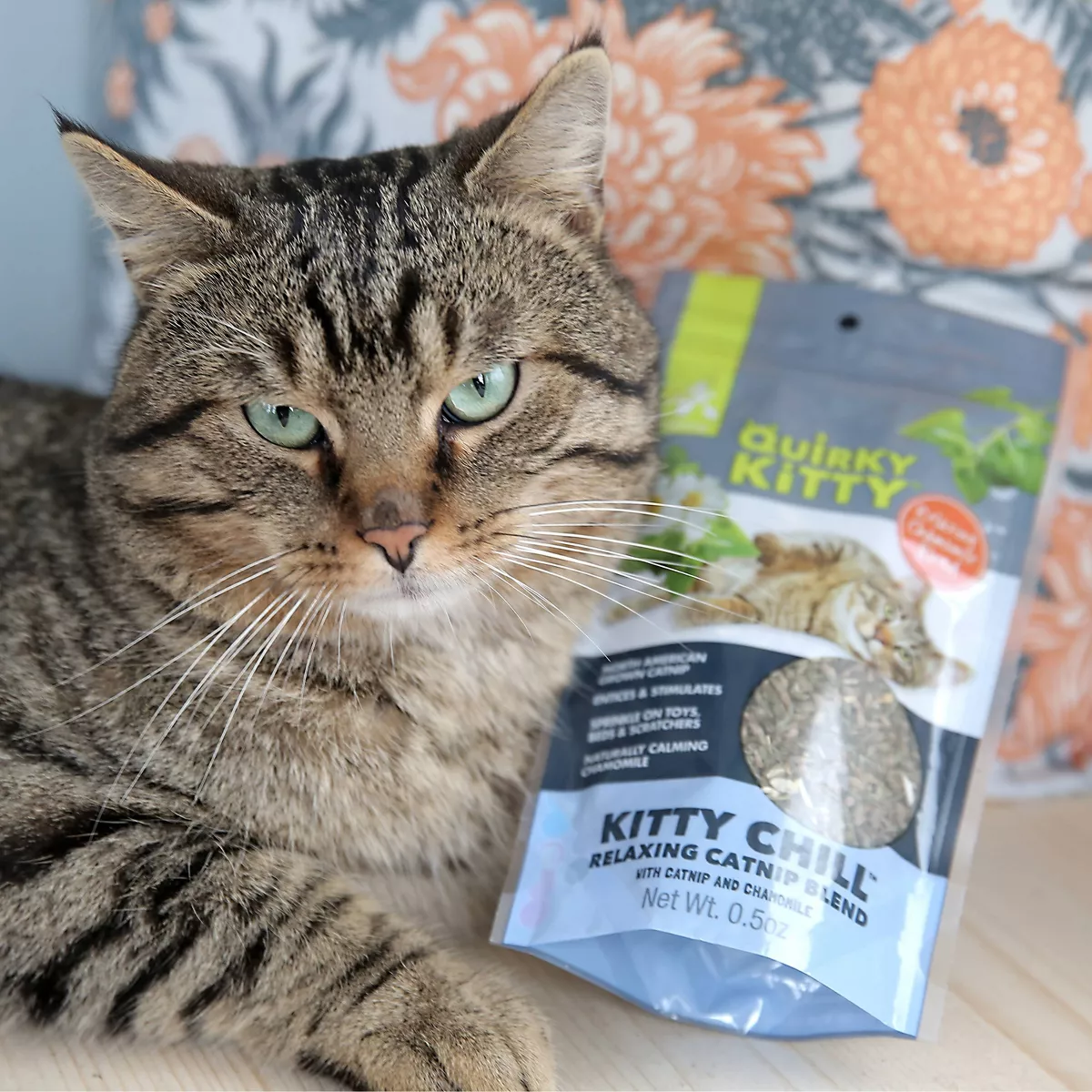 Quirky Kitty Kitty Chill North American Catnip with Chamomile Blend Cat Treats - 0.5oz