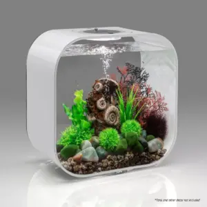 biOrb Ancient Conch Ornament Aquarium Sculptures - Brown