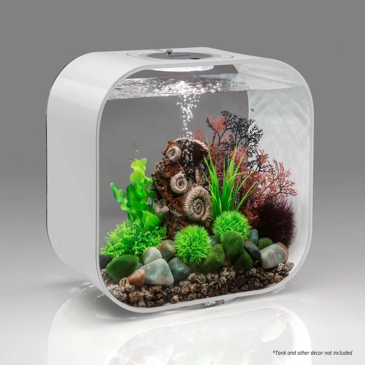 biOrb Ancient Conch Ornament Aquarium Sculptures - Brown