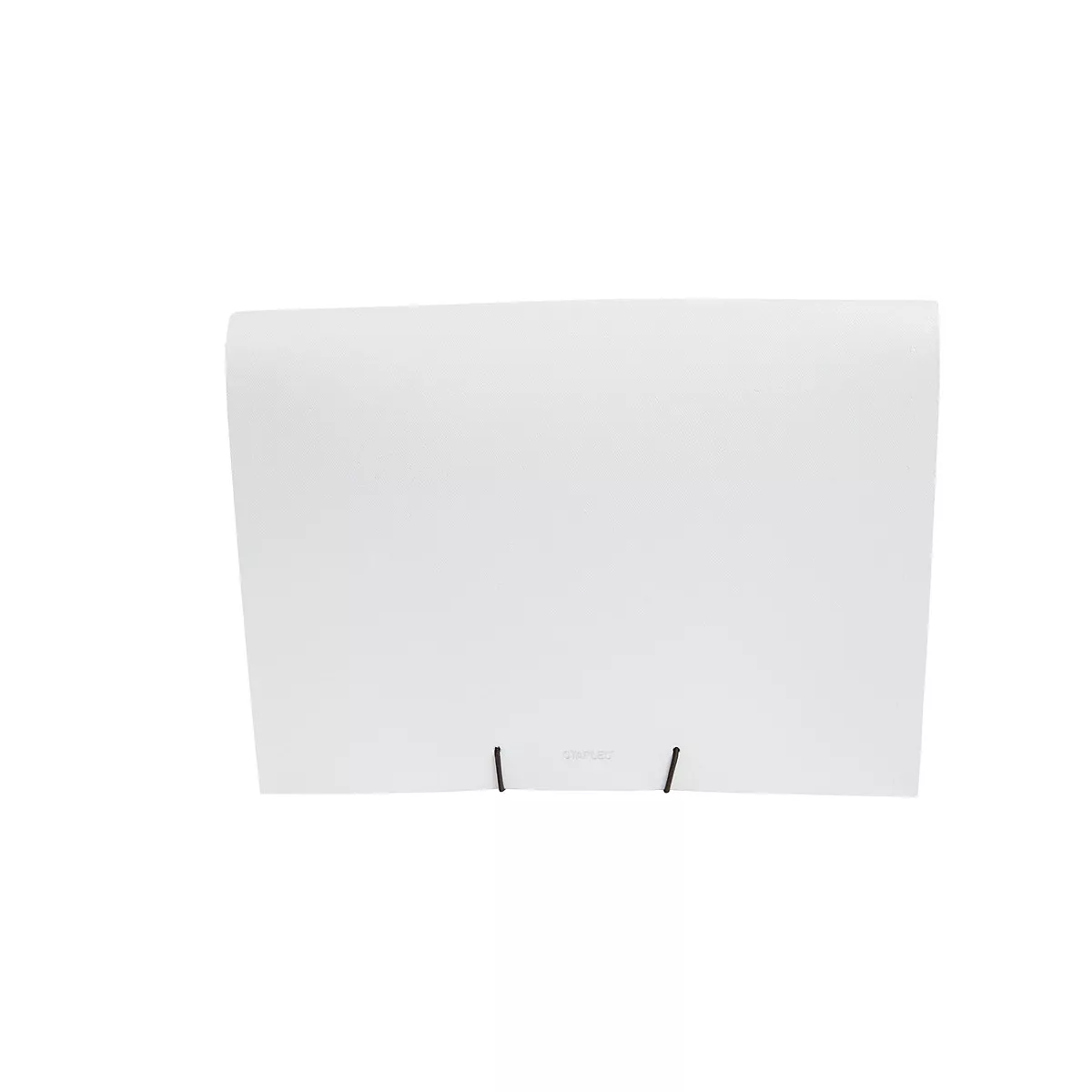 Staples Poly Expanding File w/ Document Case Letter 13-Pocket Assorted Colors TR51805/51805